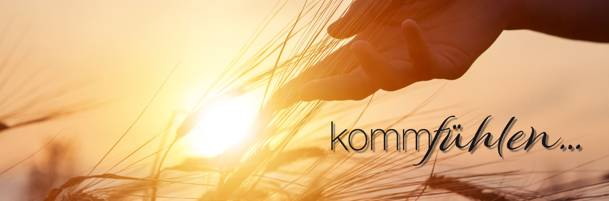 Fliesenmeisterbetrieb in Freudenberg: Fliesen Hof